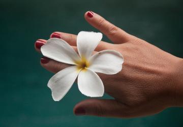 Károsítja-e a bőrt a fertőtlenítő törlőkendő?